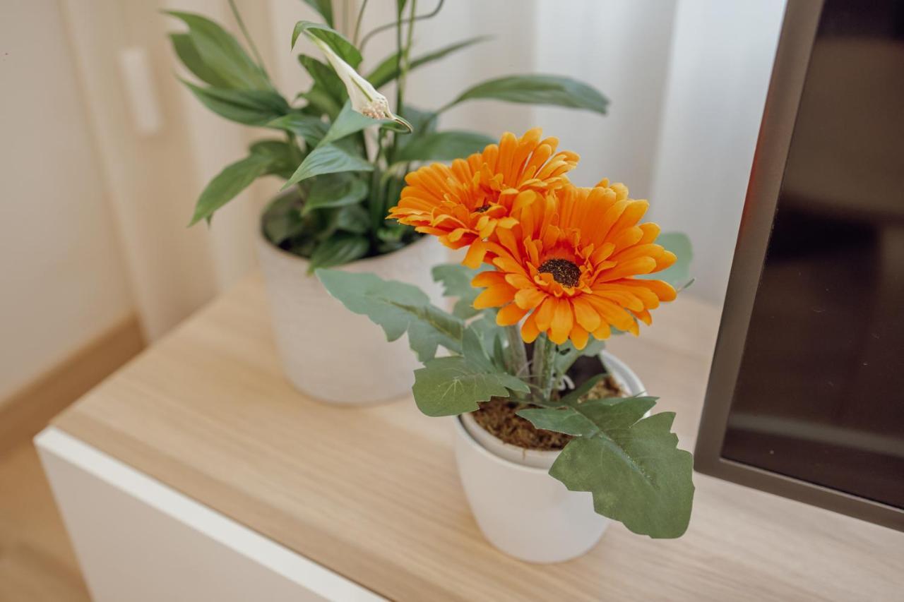 Modern Trindade By Homing Apartment Порто Екстериор снимка